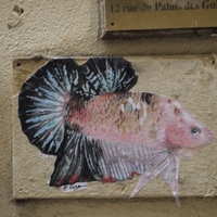 Photo de france - Montpellier